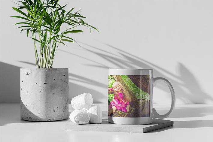 I18n Error: Missing interpolation value "ImageAlt" for "Chargez l'image dans la visionneuse de la galerie, {{ ImageAlt }}"