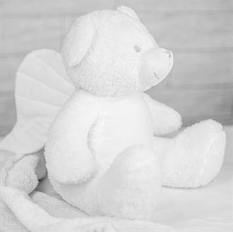 I18n Error: Missing interpolation value "ImageAlt" for "Chargez l'image dans la visionneuse de la galerie, {{ ImageAlt }}"