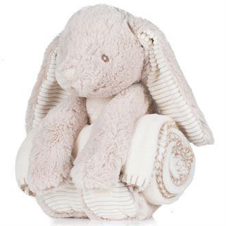 I18n Error: Missing interpolation value "ImageAlt" for "Chargez l'image dans la visionneuse de la galerie, {{ ImageAlt }}"