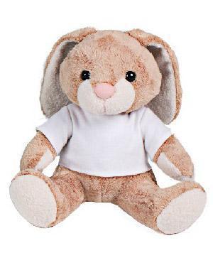 I18n Error: Missing interpolation value "ImageAlt" for "Chargez l'image dans la visionneuse de la galerie, {{ ImageAlt }}"