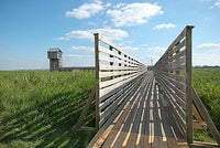 Estuaire & Sillon de Bretagne