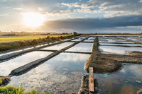 vue des marais salant de guérande avec un couché de soleil